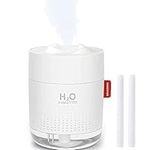 Humidifiers for Home Bedroom, 500ML Cool Mist Humidifier with Night Light, Waterless Auto-Off, Whisper-Quiet Air Humidifier, Up to 10-16 Hours Continuous Use, for Baby Bedroom, Plants, Office