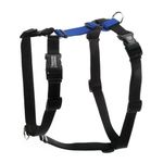 Blue-9 Buckle-Neck Balance Harness, Fully Customizable Fit No-Pull Harness, Ideal for Dog Training and Obedience, Made in The USA, Blue, Medium/Large