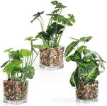 BELLE VOUS 3 Pack Plastic Artificial Faux Plants with Clear Glass Pots - Outdoor/Indoor Fake Greenery for Home, Garden, Wall Basket, Bushes/Shrubs, Wedding Centrepieces and Office Decor