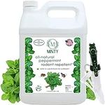 Minty Rodent Repellent, Natural 5% 