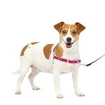 PetSafe Easy Walk No-Pull Dog Harne