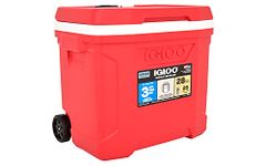 28 Qt Cooler