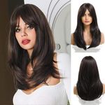 Esmee 20 Inches Long Straight Black Brown Layered Synthetic Hair Wigs for Women with Bangs for Daily Party Use