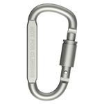 LInist Premium Aluminum D-Ring Locking Carabiners Lightweight & Durable for Hiking, Camping, Keychains, Dog Leashes & More, Quick Locking, Safety Lock Cable Attachment (NOT for Climbing) (2)