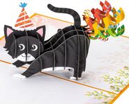 Yadiana Pop Up Birthday Cat Card, Handmade 3D Cat Design with Envelopes, Ideal for Birthdays, Anniversaries, Mother's Day, and All Occasions