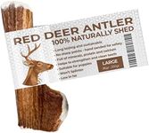 Antlers for Dogs LARGE, Sustainable