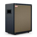 Positive Grid Spark CAB Powered Guitar Amp Speaker Cabinet for Spark Series Amps, Multiple Instruments, Modelers, and More