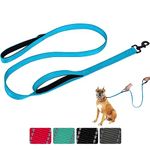 Aepeasti Dog Leash for Medium to Large Dogs with Two Padded Handles 5FT/6FT, Double Handle Dog Leash, Reflective Training Lead, Durable Traffic Leashes(6FT,Blue)