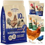 Hatortempt 10 LB Dried Black Soldier Fly Larvae for Chickens – Non-GMO Bulk Insect Larvae, Natural Poultry Feed - Turkey Food - Bird Food - Chicken Feed