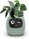 TPHRAVAL Intelligent Flower Pot, El