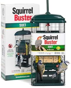 Squirrel-P