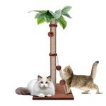 Zvonema Cat Scratching Post, 85cm Tall Scratching Posts with Natural Sisal Rope for Indoor Cats Kittens, Cat Scratcher Post with Interactive Hanging Balls & Spring Ball