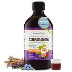 Ashwagandha KSM-66 Liquid Bio-Fermented with Turmeric, Probiotics & Digestive Enzymes for Stress, Mood & Gut Health - Natural Berry Passion Flavour