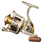 Diwa Spinning Fishing Reels for Saltwater Freshwater 1000 2000 3000 4000 5000 6000 Series Fishing Spool Left/Right Interchangeable Trout Carp Spinning Reel 10 Ball Bearings Light and Smooth (6000)