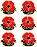 VZIUYTRE 9pcs 6pcs 2pcs Red Poppy Pins Lapel Brooches Apparel Badges Pins for Women Girls on Veterans Day Memorial Day Remembrance Day Jewelry, Metal, no