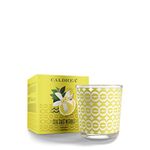 Caldrea Candle Sea Salt Neroli