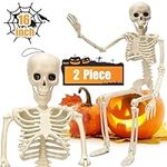 2 Pack Halloween Hanging Skeleton D