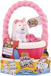 Little Live Pets Sweet Talking Friend Toy with S2 Basket (Multi-Colour)