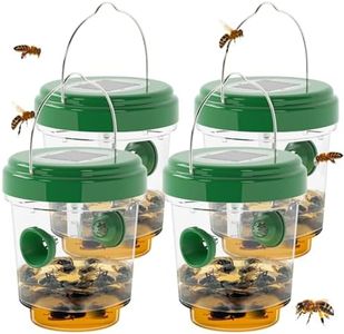 Wasp Traps