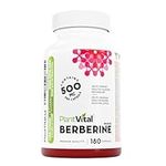 PlantVital Berberine 1000mg Supplement (2 caps) - Supports Blood Glucose Levels & Glucose Metabolism Health - Vegan, Non-GMO Berberine Supplements, Made in Canada, 180 Capsules