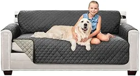 Sofa Shield Couch Slip Cover with P