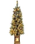 WeRChristmas Pre-Lit Scandinavian Blue Spruce Christmas Tree with 80 Warm White LED Lights, 4 feet/1.2 m - Green