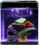 Betta Fish Tank Self Cleaning Glass 2 Gallon Small Nano Aquarium Starter Kits Desktop Room Decor w/LED Light Decorations & Whisper Filters Water Pump (Fish Tank)