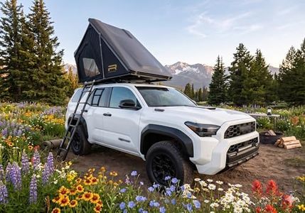 Roofnest F