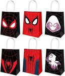 15 PCS Birthday Party Bags for Super Hero Birthday Party Decoration Supplies Goody Bags For Boys