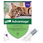 Advantage 80 Flea Spot On Treatment For Large Cats & Rabbits 1 Pipette 0.8ml >4kg