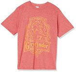 Warner Bros. Boys Harry Potter: Sorcerer's Stone Gryffindor Crest Boys Short Sleeve Tee Shirt, Red Heather, L