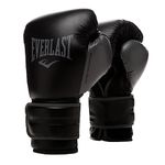 Everlast Powerlock 2R Training Glove - Black - 12 oz