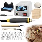 FIRElood LH20 Wood Burning Kit,Pyrography Wood Burning Tool Set with Pyrography Machine, 30 Wire Nibs, Detachable Wood Burning Pen, Adjustable Temperature 200-750℃(UK Plug)