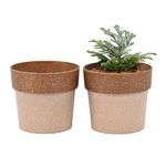 Eha Earth Friendly Ecopod Small Pots for Plant | 4 Inch, Set of 2 | Table Top Planters | Bamboo Based and UV Protected | Pots for Indoor Plants for Home Decor, Outdoor, Balcony & Garden | Tortilla