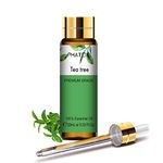 PHATOIL Tea Tree Essential Oil 10ML - Undiluted and Cruelty-Free, Pure Tea Tree Oil - Essential Oils for Diffusers for Home