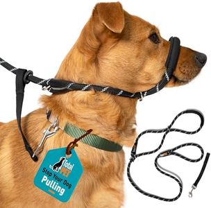 Total Pet 