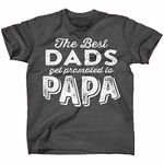 Gift for Him, The Best Dads Get Promoted to Papa, Gray 2X