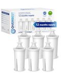 Overbest NSF Certified Brita Water Filter, Replacement for Brita Pitchers and Dispensers, Brita Classic OB03, Mavea 107007, 35557, Brita Pitchers Grand ( Pack of 6 )