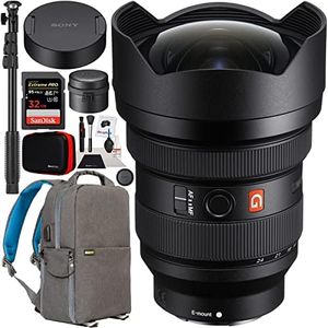 Sony FE 12
