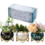 PeraBella Best Godmother Ever Succulent Planter Gift Set, 3 Ceramic Pots with Metallic Finish, Ideal for Indoor Decor, Suitable for Windowsills, Desks, Shelves, Gardens, Kitchens, Offices