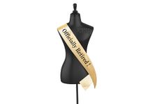 Hubops Officially Retired Sash Gold for Men & Women. Great for Work Party, Events, Party Supplies, Gifts, Favors, & Decorations. (Gold)