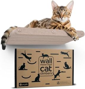 Cat Wall B