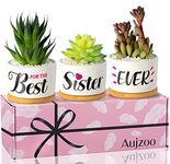 Sister Gifts for Sister, Soul Sister Gift from Sister for Christmas Birthday Mother‘s Day, Best Sister Ever, Garden Decor Planter Succulent Pots