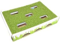 Catstages Grass Patch Hunting Box C