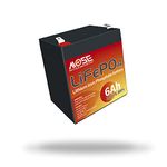 Lifepo4 Battery 6Ah, 12v Lithium Battery Battery, Lead Acid Battery Replacement, Built-in BMS Last Longer, Perfect for Kids Scooters, Fish Finder, Most of Out-Door Power Applications