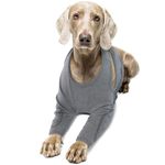 Dogs Anti-licking Protection Sleeve, Dog Surgery Recovery Sleeves to Stop Licking Wound Dog Recovery Suit Dog Leg Wound Protector for Front Leg Injury Recover Sprains(Grey, 2XL)