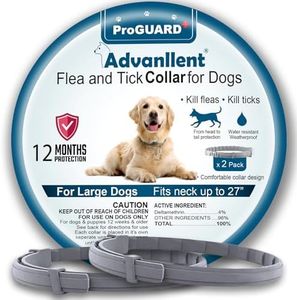 Advanllent