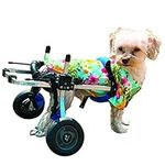 K9 Carts | The Original Dog Wheelch