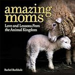 Amazing Moms: Love and Lessons From the Animal Kingdom