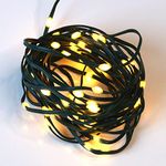 Qbis Battery Powered Outdoor Lights Multifunction Battery Lights with Timer. Warm White Outdoor Fairy Lights on Green Wire. Micro LED Outdoor String Lights. (60 LED Green Wire)